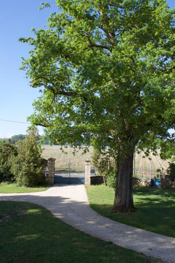 Bed and Breakfast Domaine Cazenave Budos Exterior foto